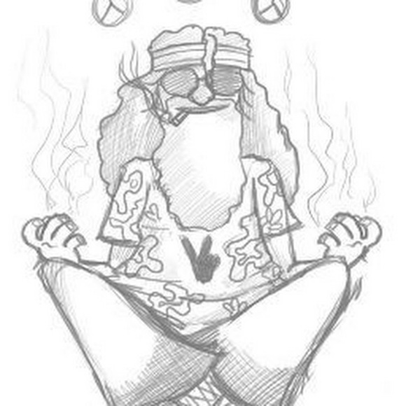 Meet your Posher, Shannon - Picture 1 of 1